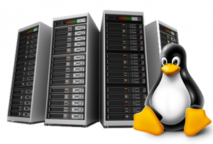 обслуживание linux в санкт-петербурге